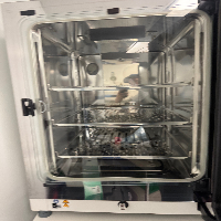 Thermo HERAcell Vios 160i Double Stack CO2 Incubator image 3